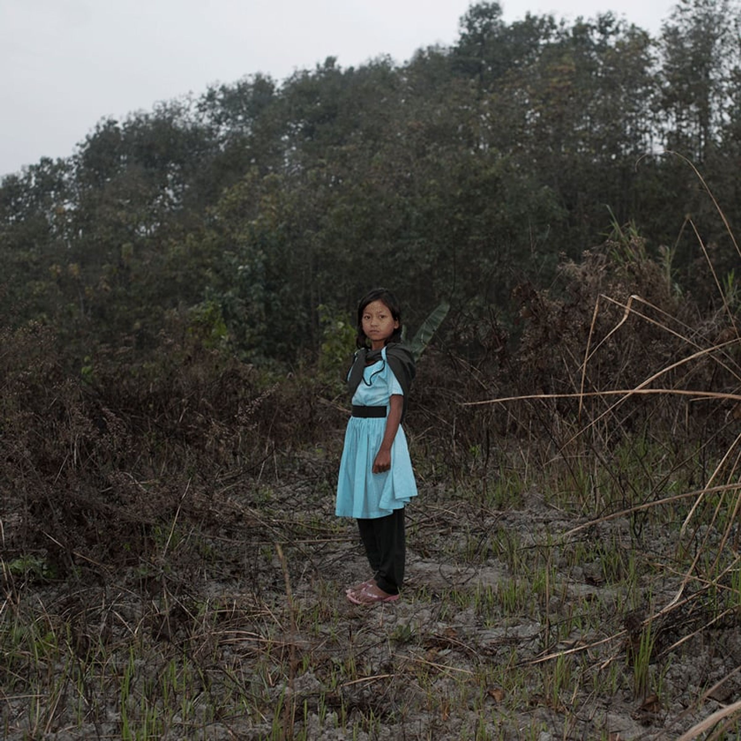 Young person in a blue dress stands alone in cleared brown scrubland.