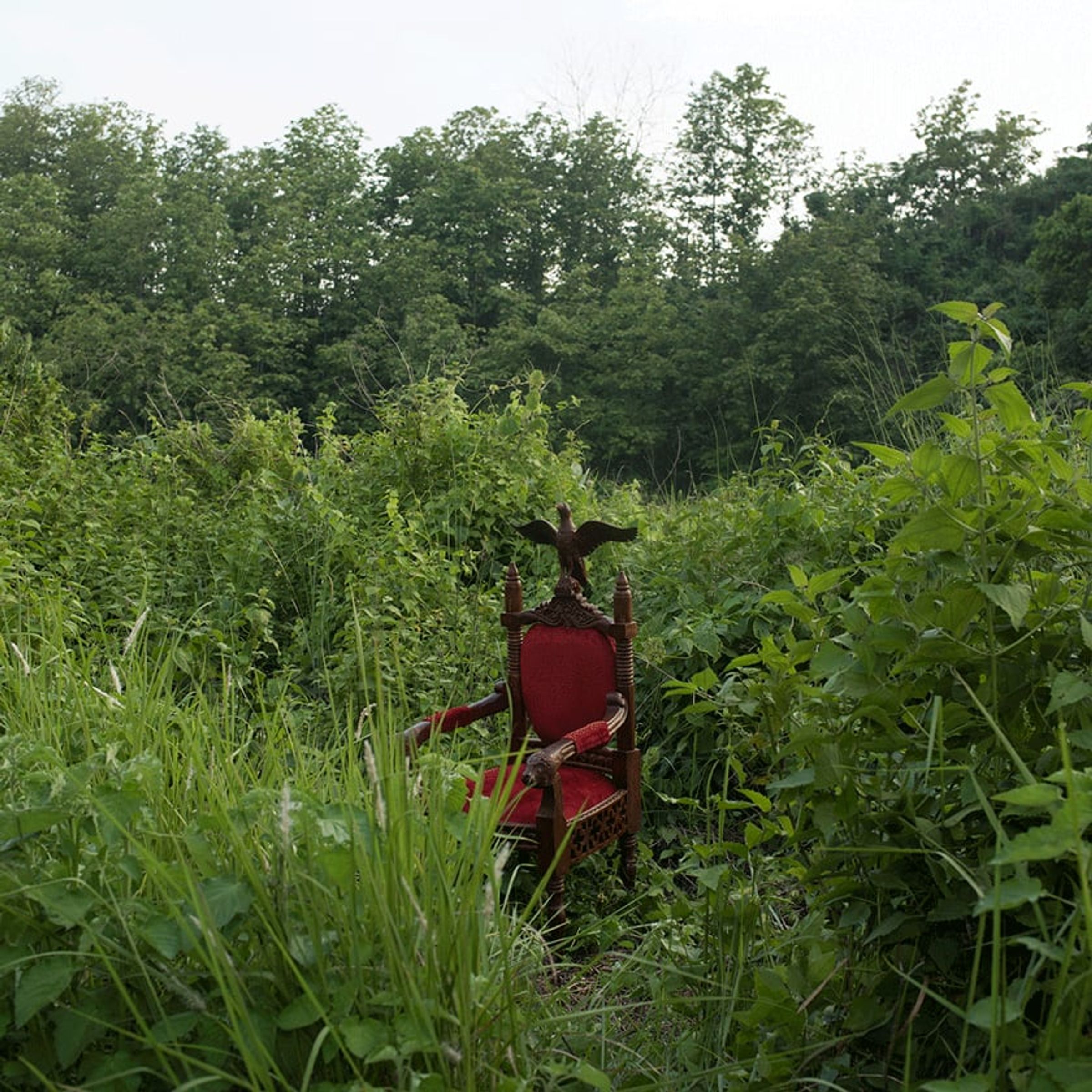Person in red partly hidden by dense green foliage beside an empty chair.