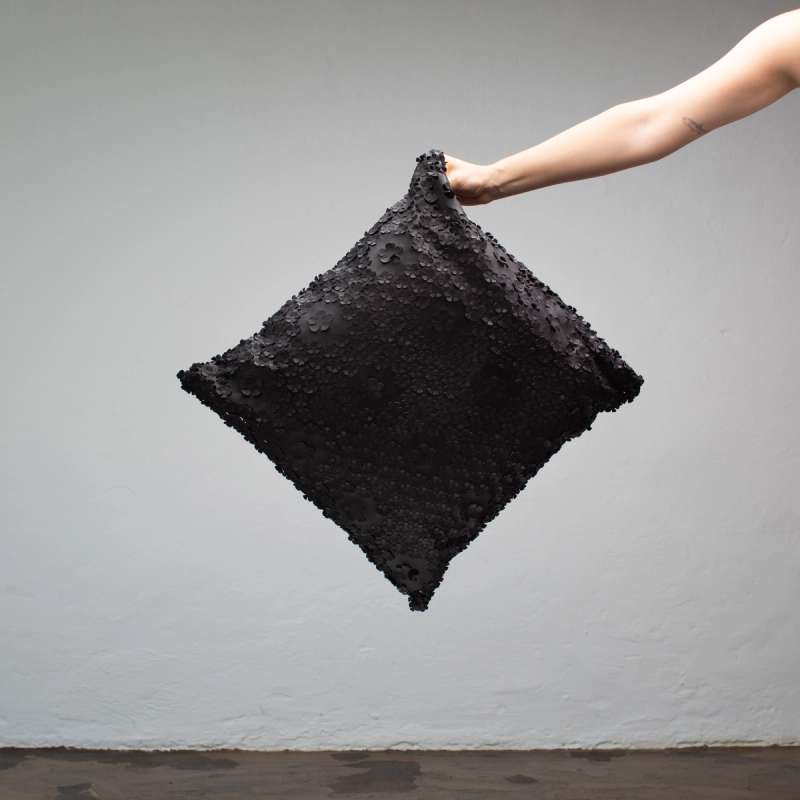 Black Leather Cushions