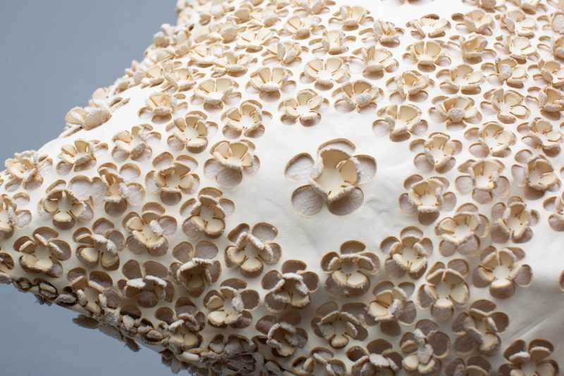 Cream White Leather Cushion