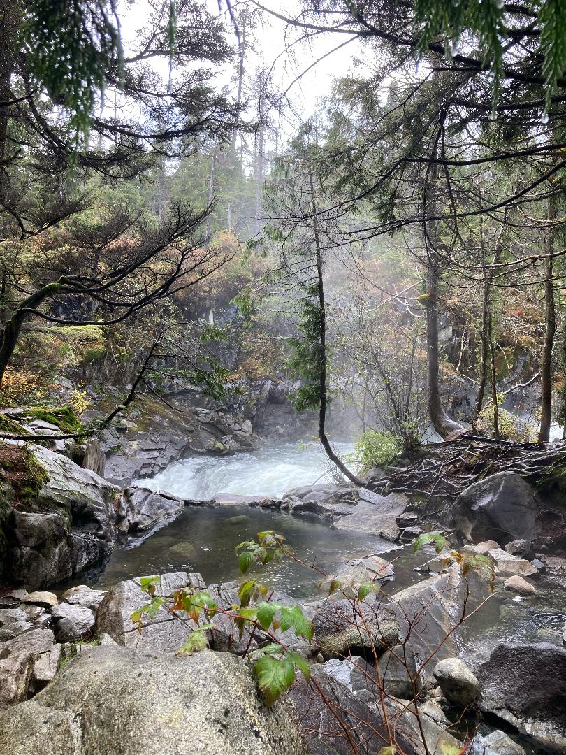 Natural hot springs in the forest