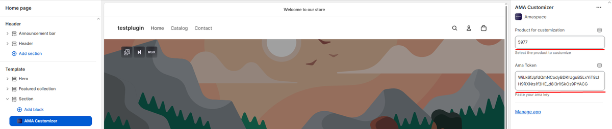 Screenshot of the AMA Customizer app block settings panel showing the Ama Token field filled with the Secret API Key.
