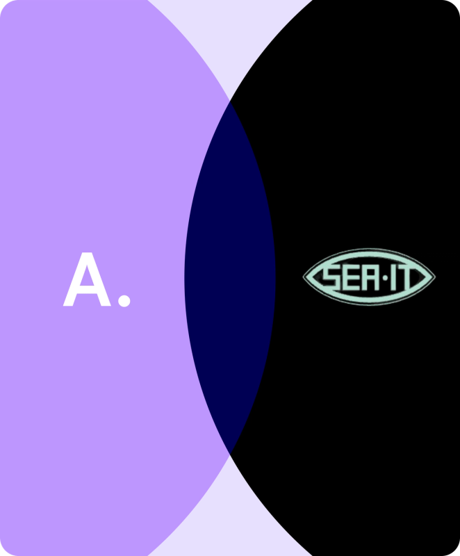 SeaitPartnership showcase