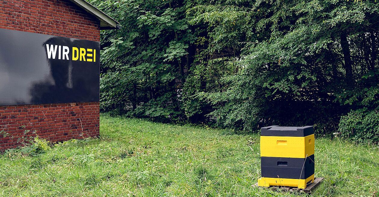 WIR DREI siedelt Bienenvolk an