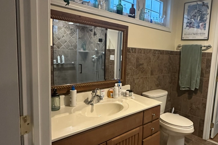 existing vanity