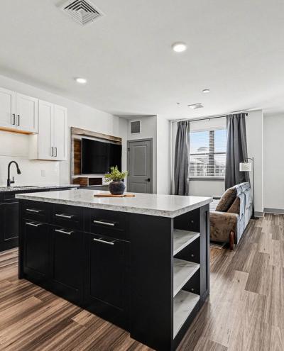 Moody Bachelor Pad with Maximum Impact - residential