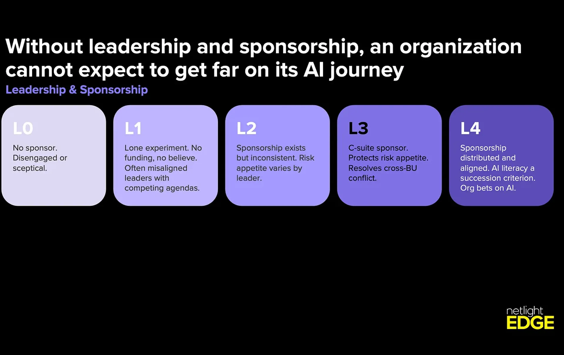 The missing dimension: leadership and sponsorship.