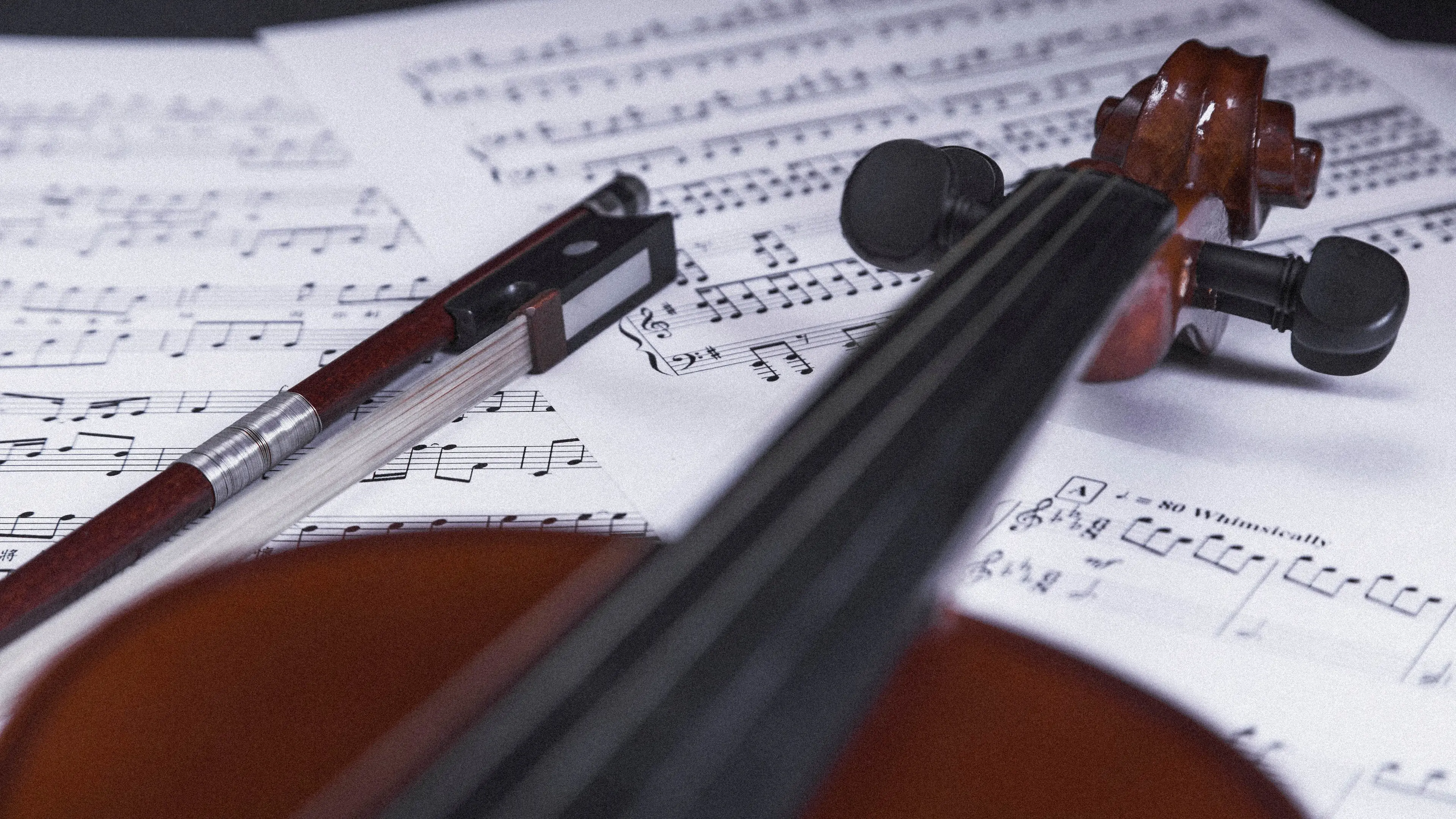 close up violin sheet