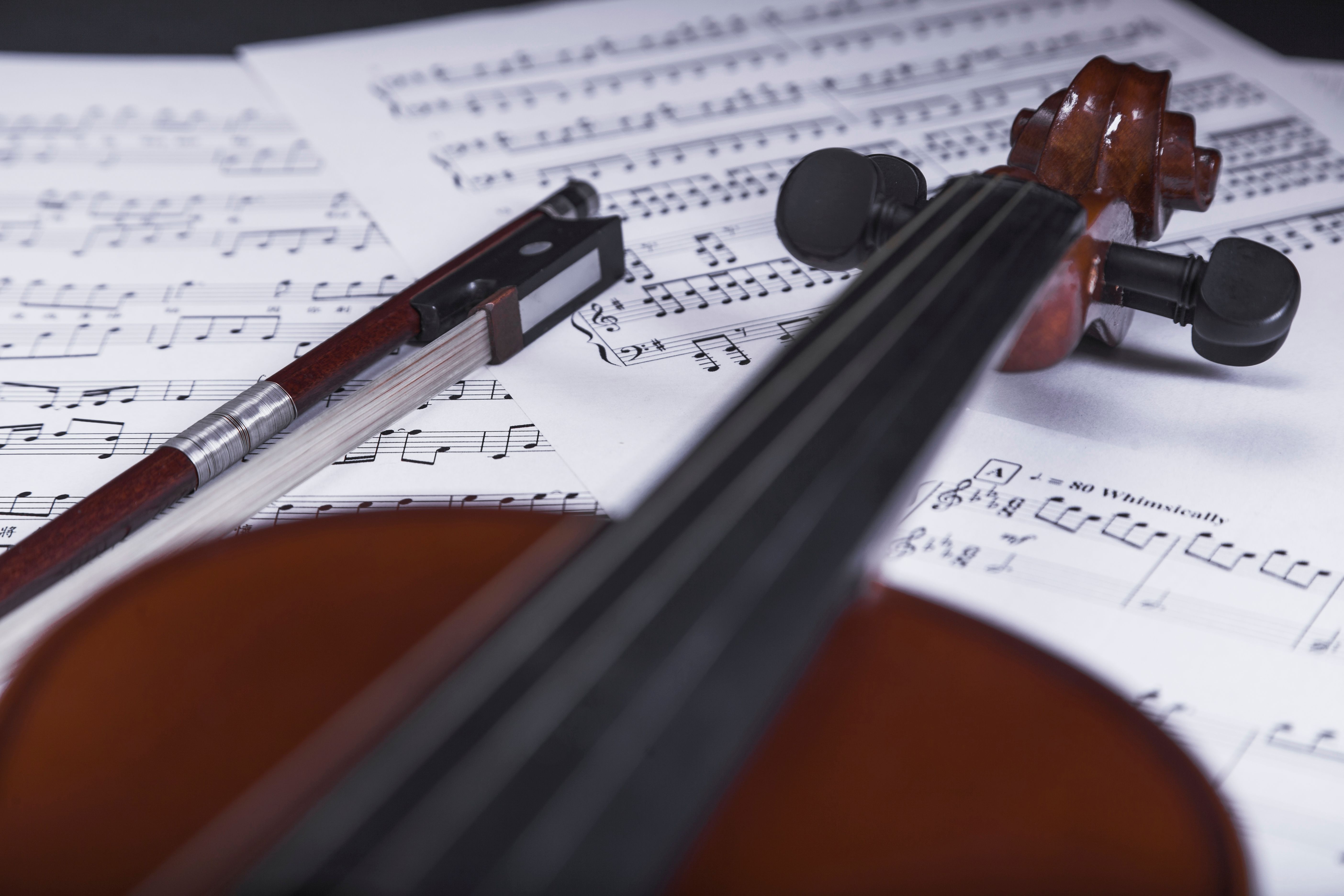 Violin