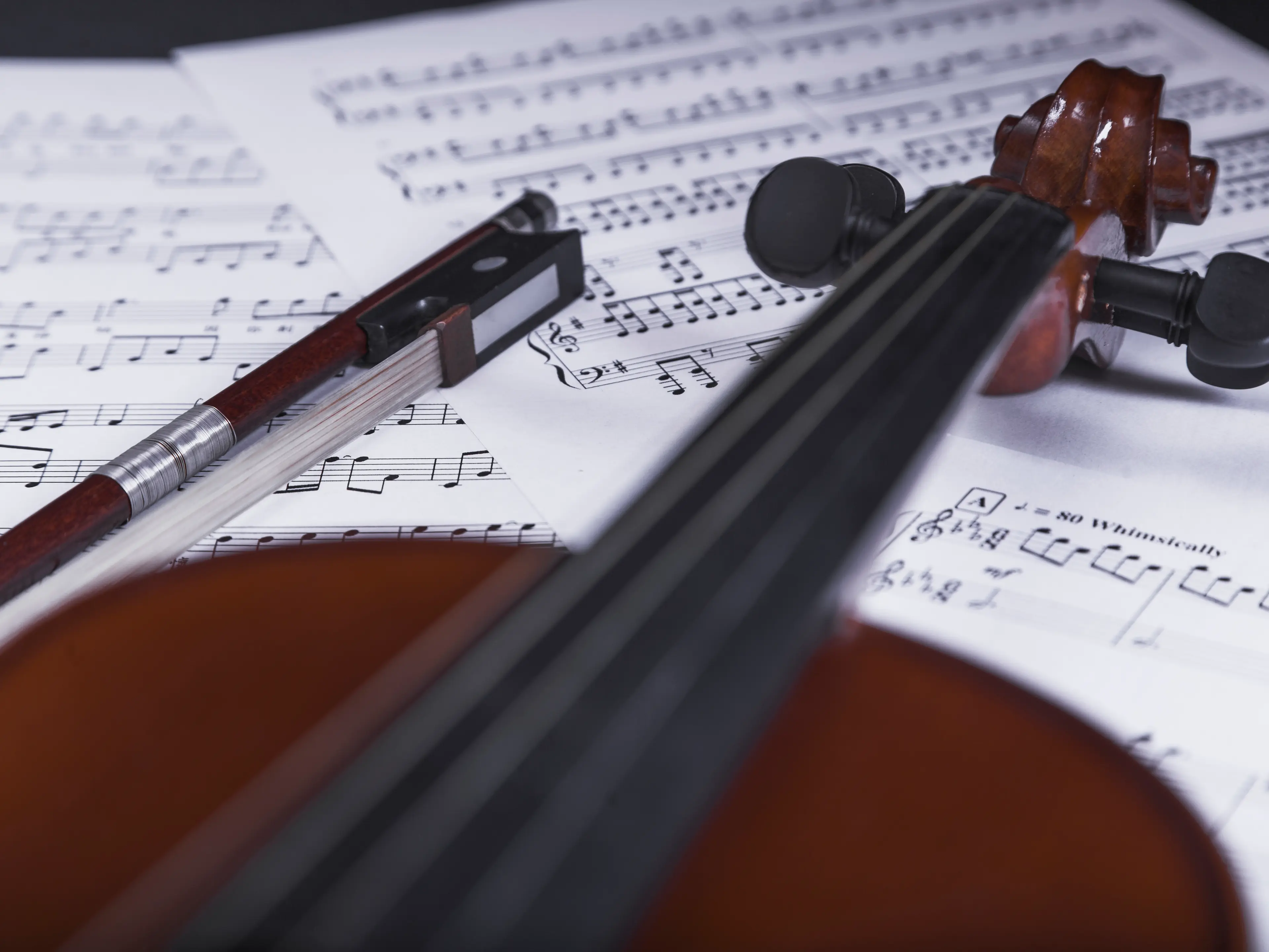 Violin