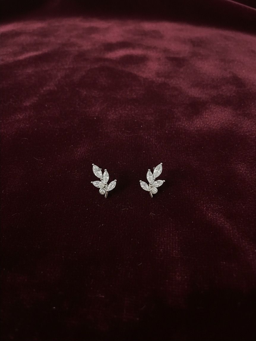 Premium Earing