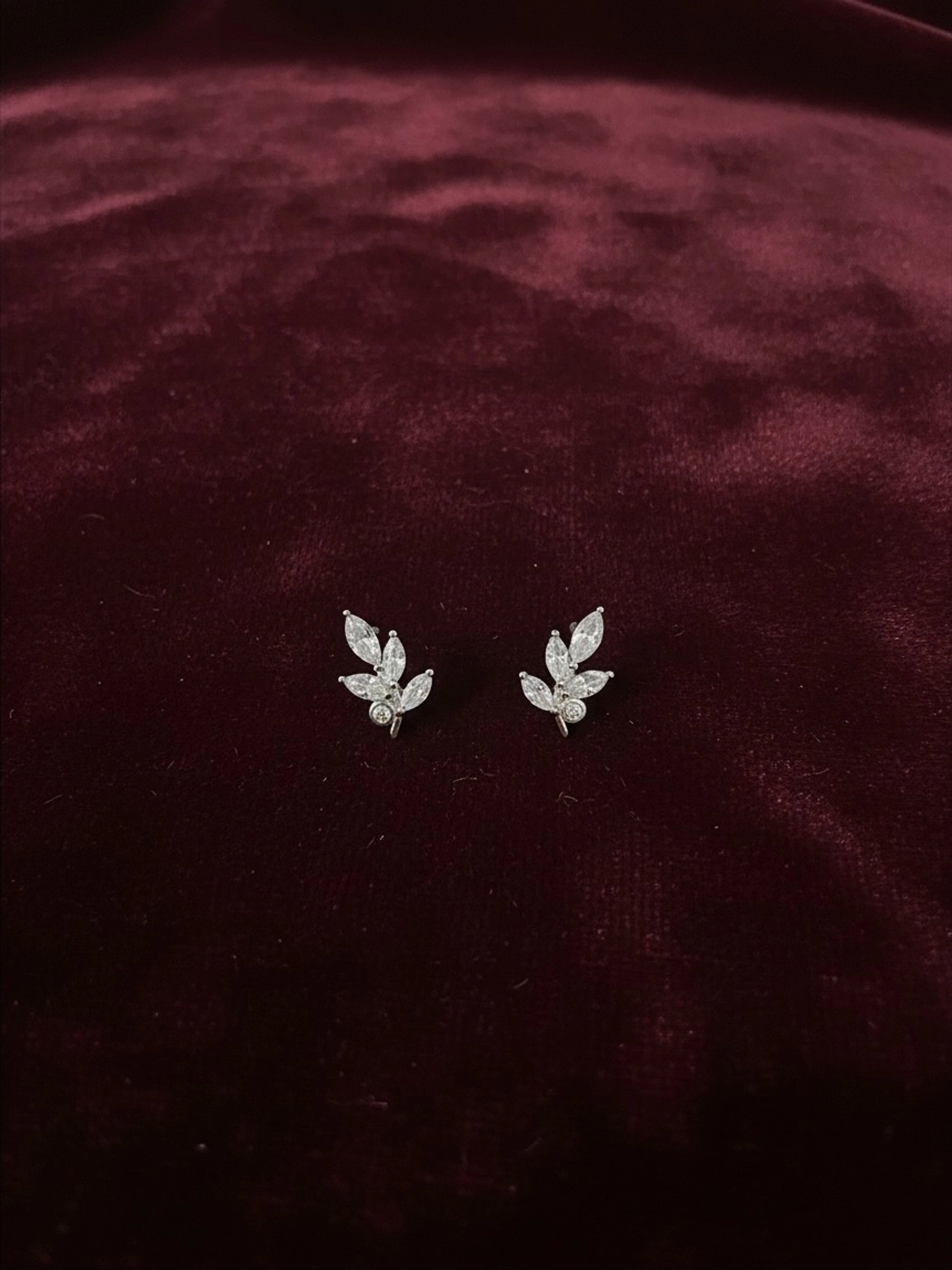Premium Earing