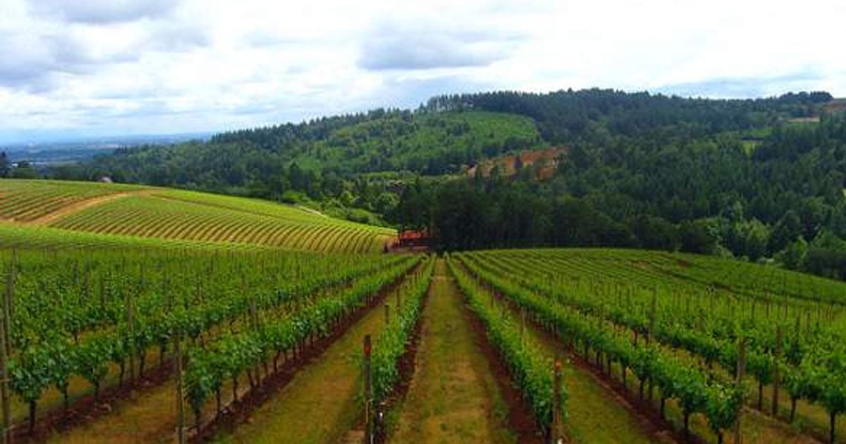 Five Things to Do in & Around Salem, Oregon | BootsnAll