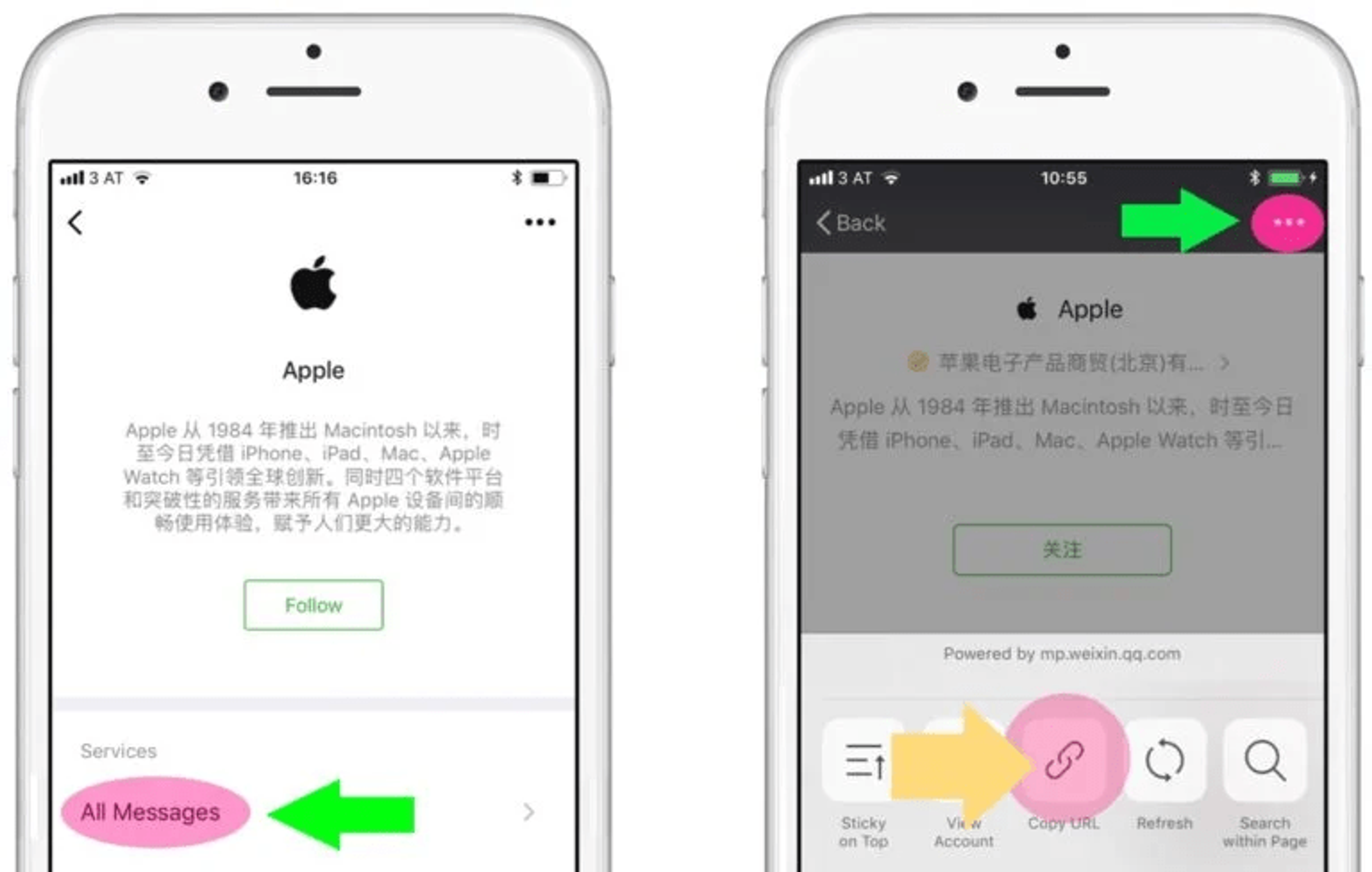Copy the URL of your WeChat account