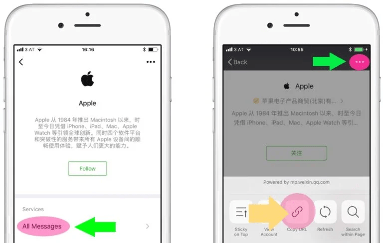 Copy the URL of your WeChat account