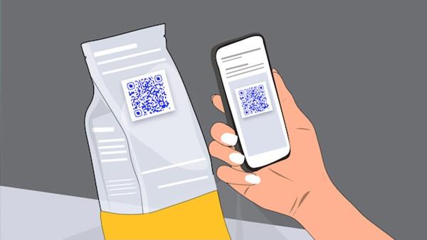 How To Scan a QR Code on an iPhone: A Really Simple Guide