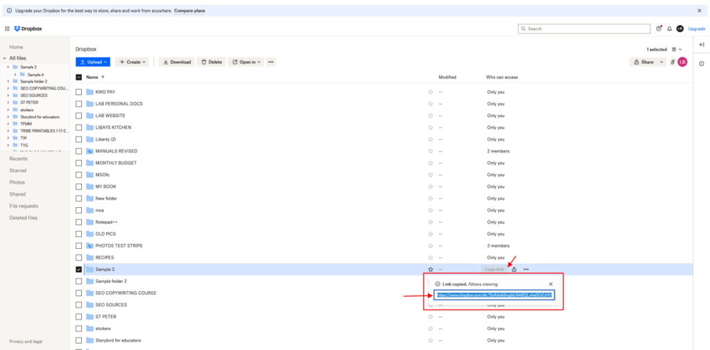 Step1: Get the Dropbox link of the file to create URL code for Dropbox