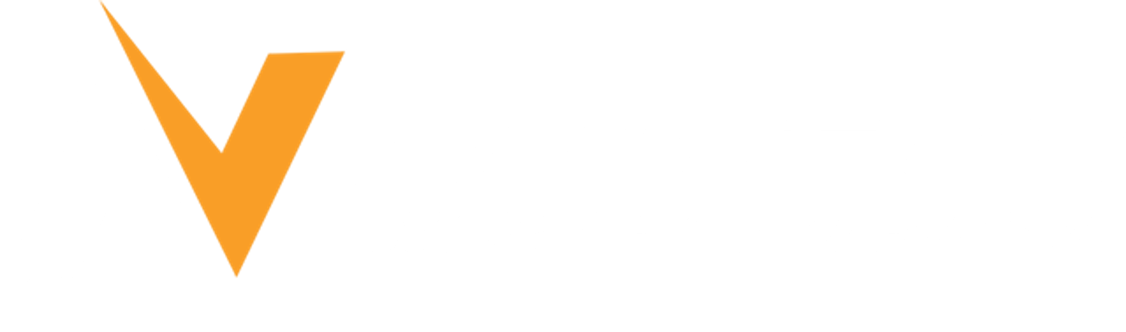 Newton Timing & Race Services Co logo