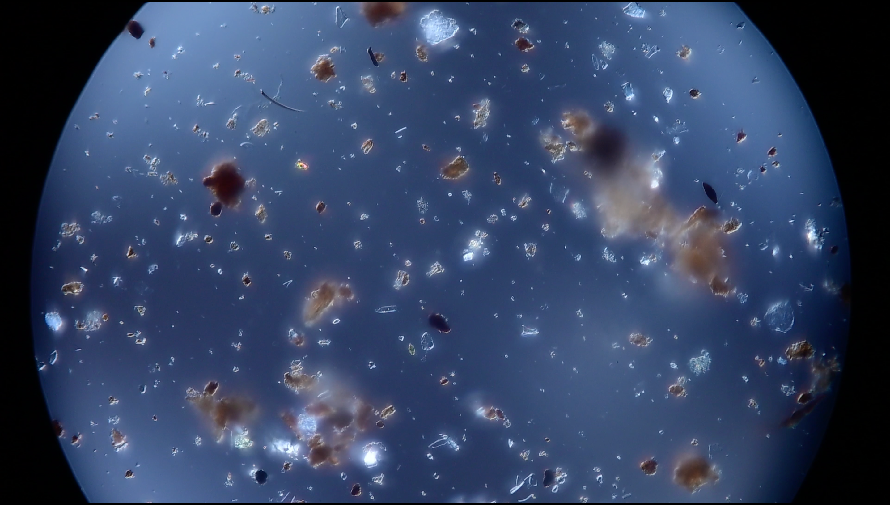 in progress: a metabolic sublime