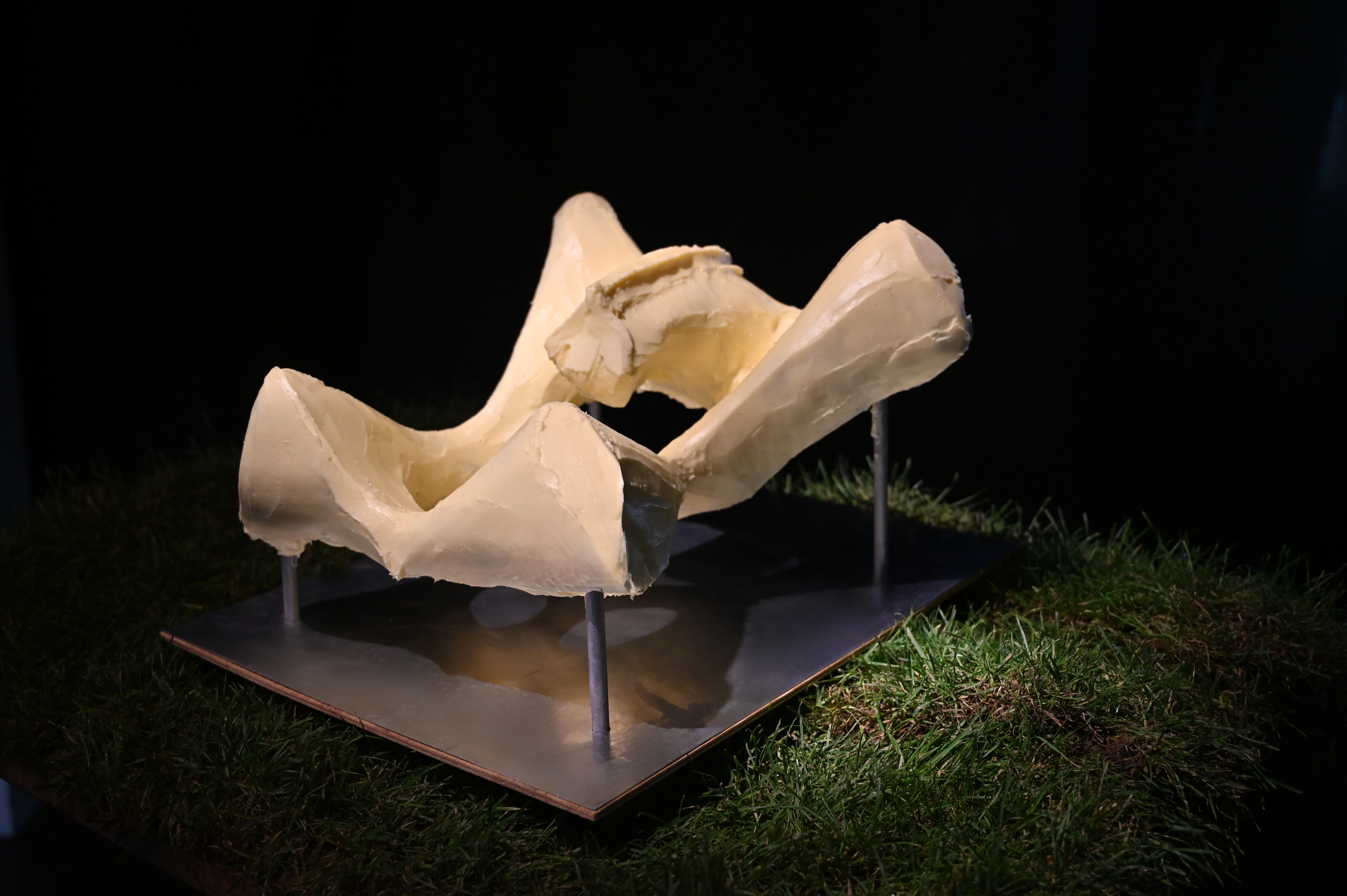 Pelvic Passage Politics