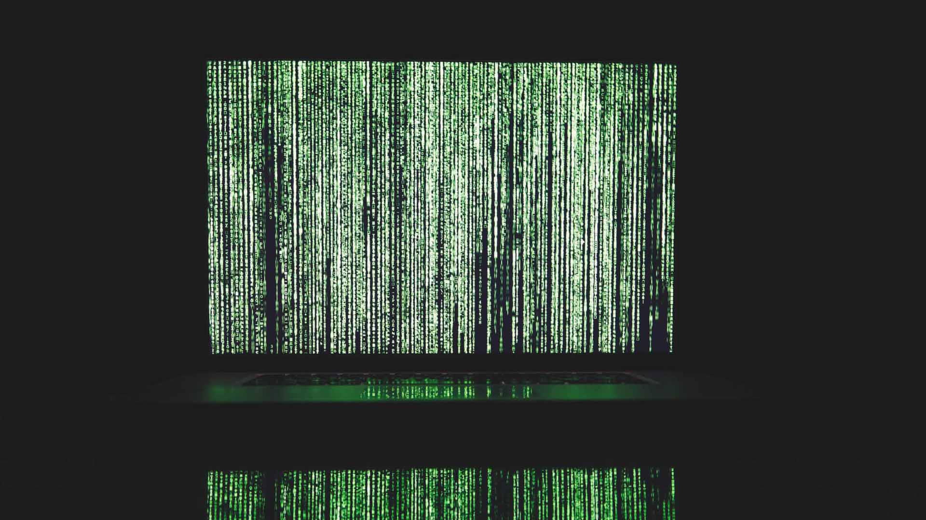 Game Security: Protecting Your Bottom Line