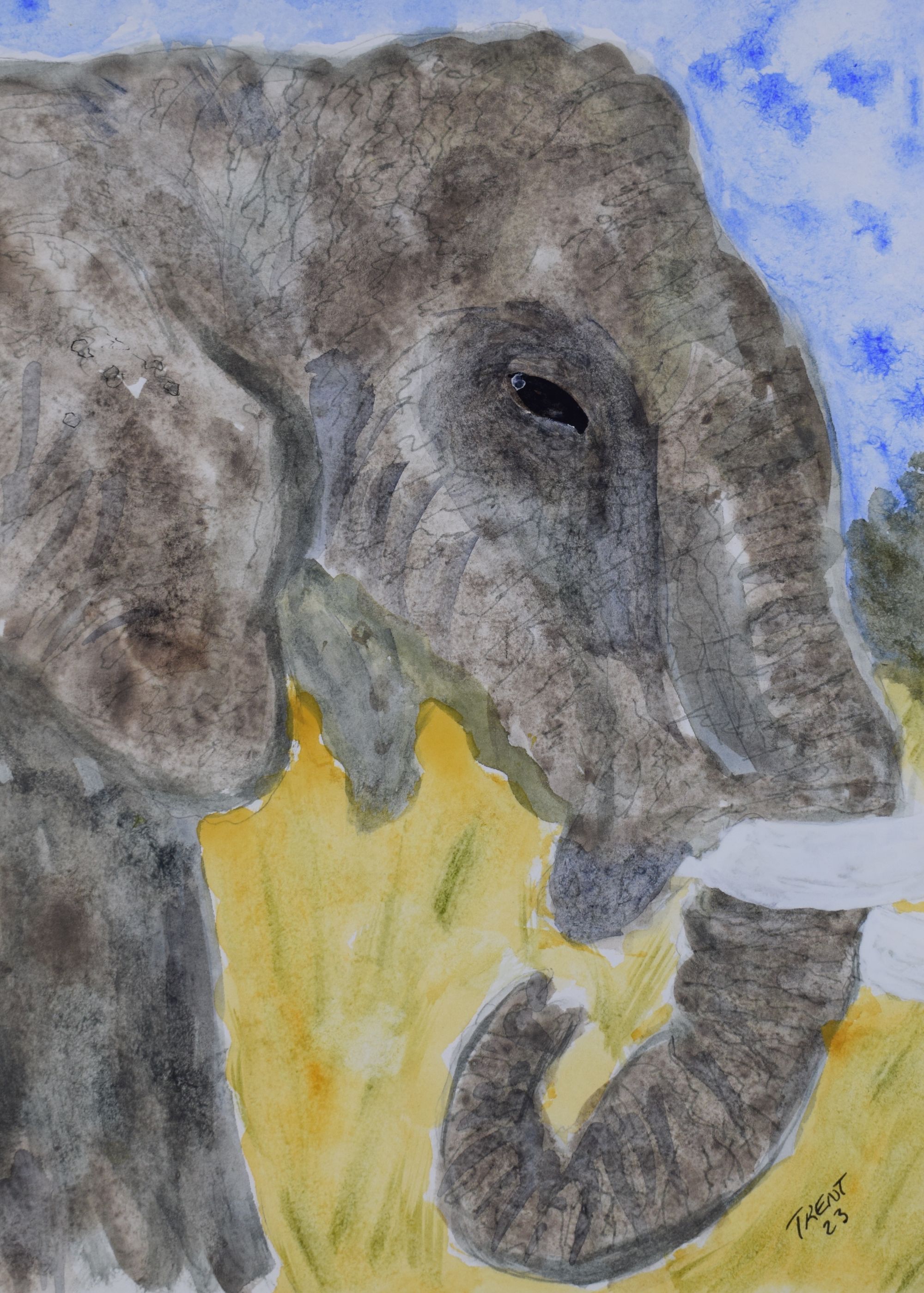 Watercolor painting of a Elephant
