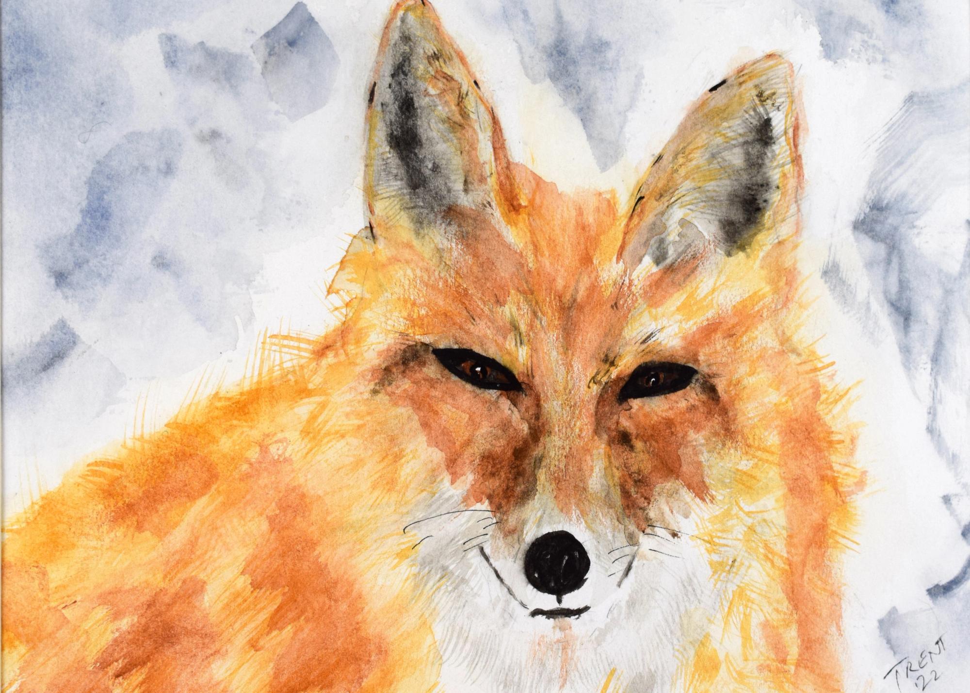 Watercolor painting of a Fox.