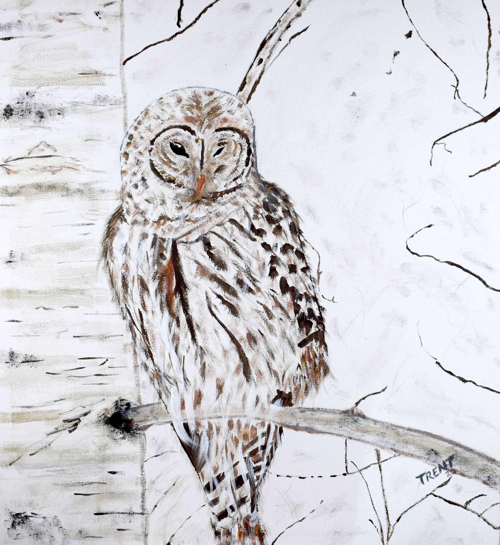 Acrylic painting of a White Owl in a tree.