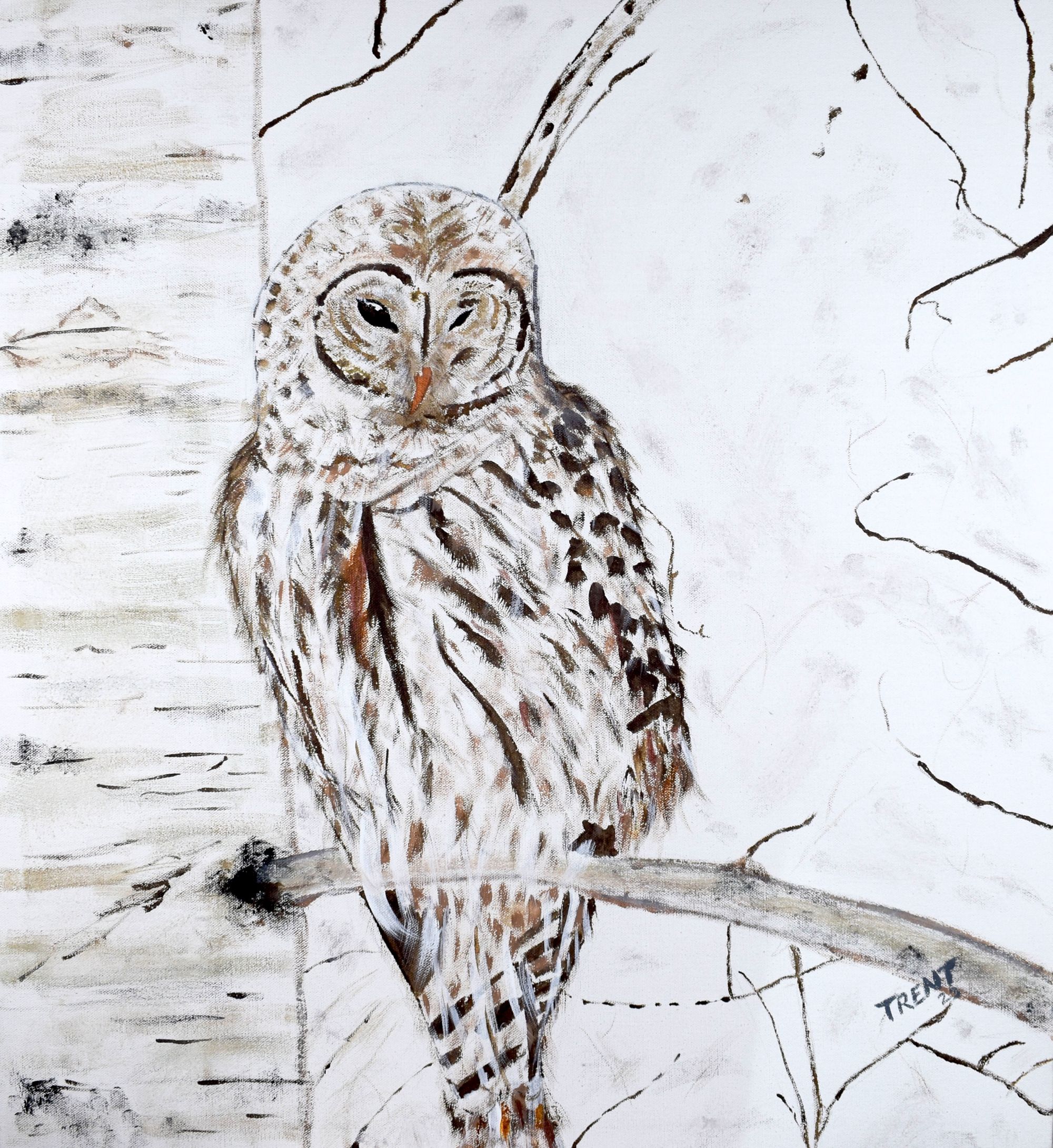 Acrylic painting of a White Owl in a tree.