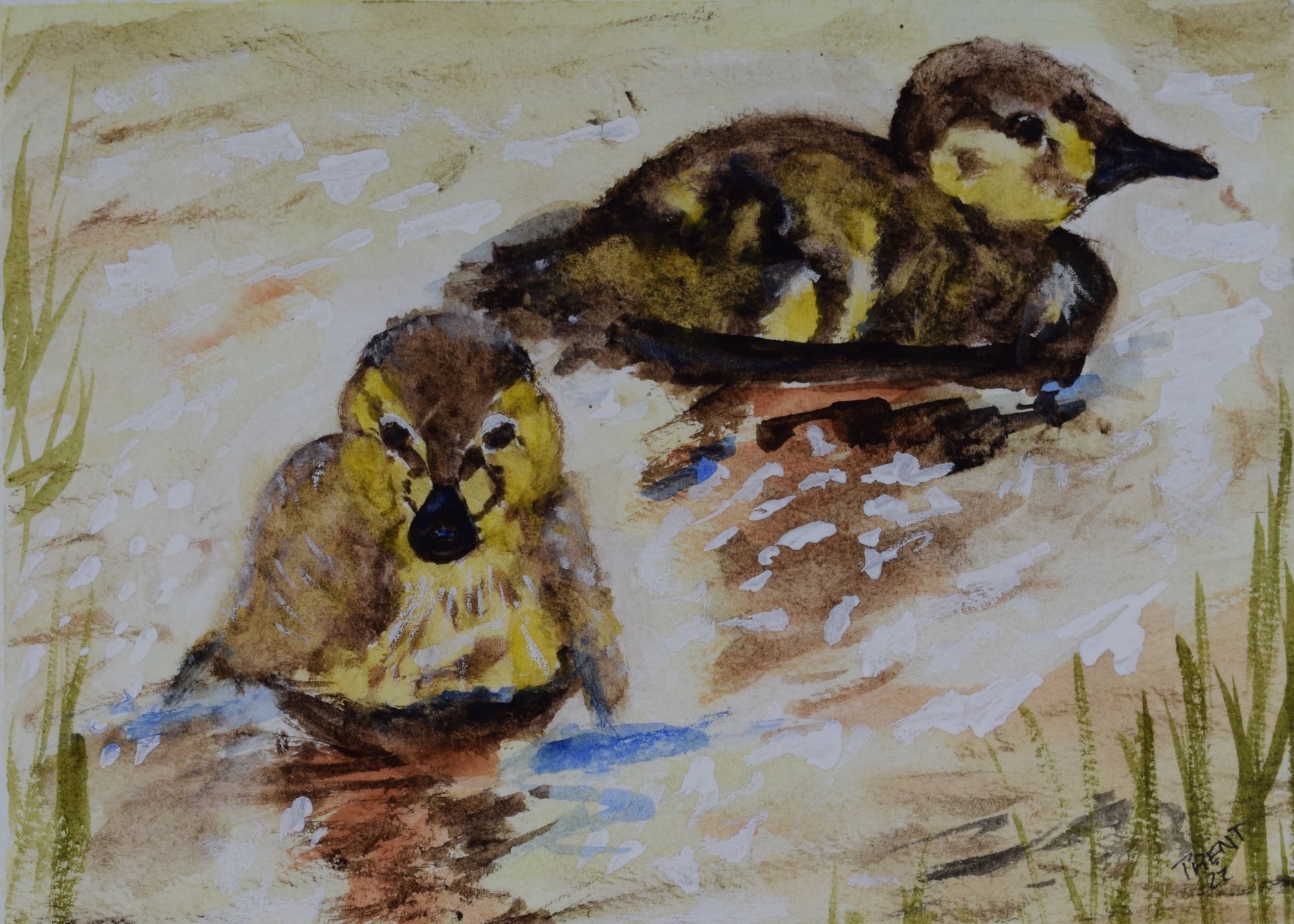 Watercolor painting of two Ducklings