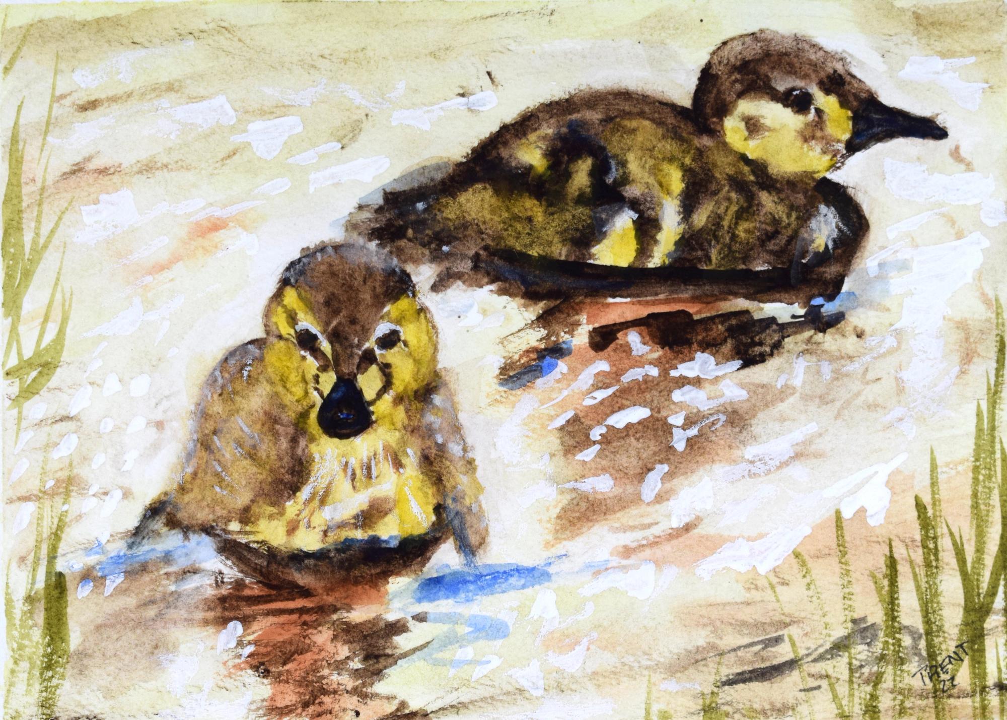 Watercolor painting of two Ducklings.