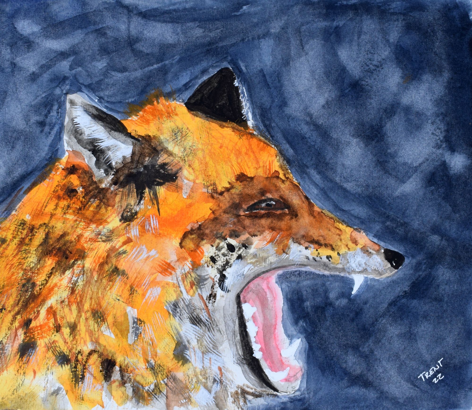 Watercolor painting of a fox screaming at night.