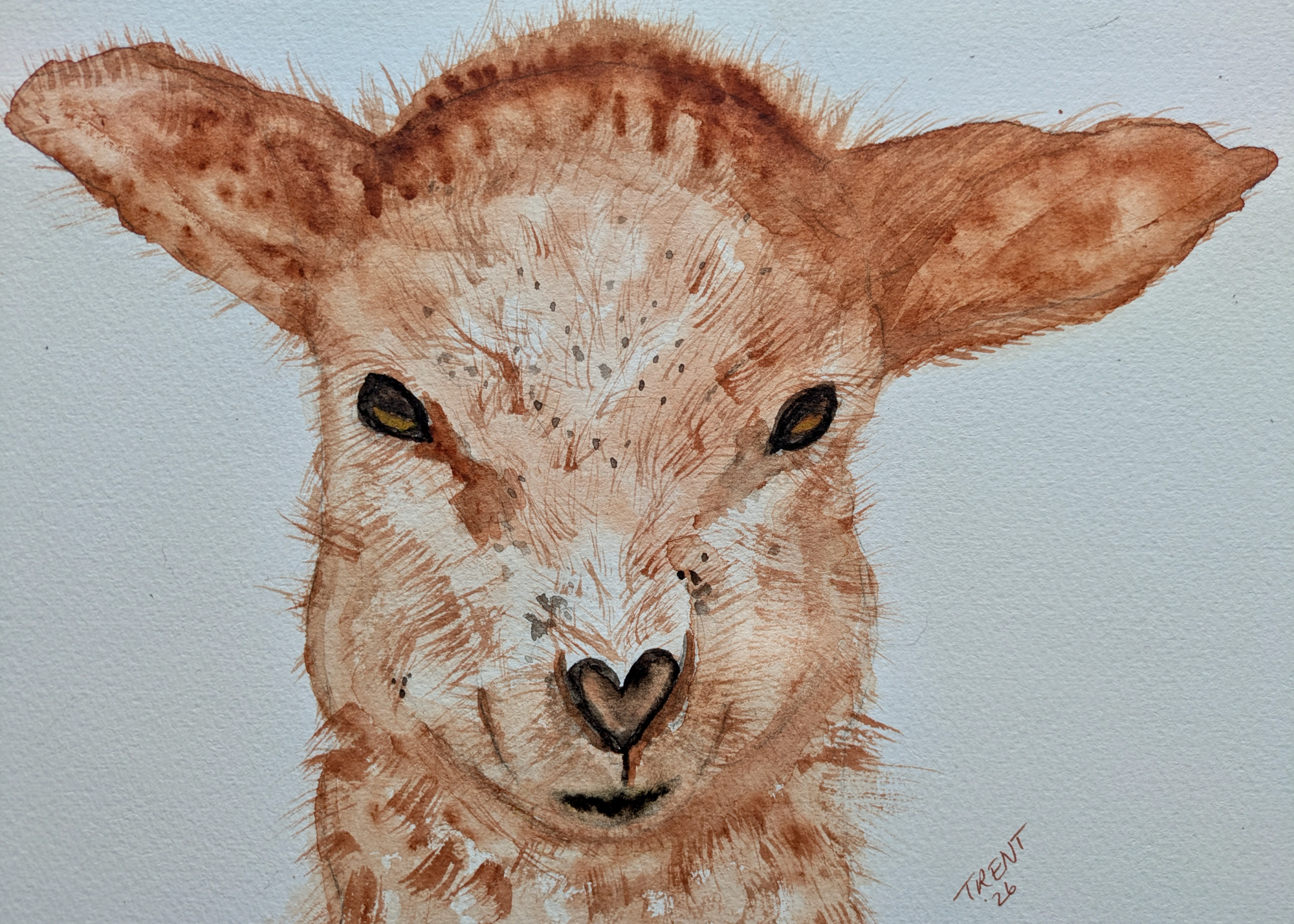 Watercolor painting of a baby llama.