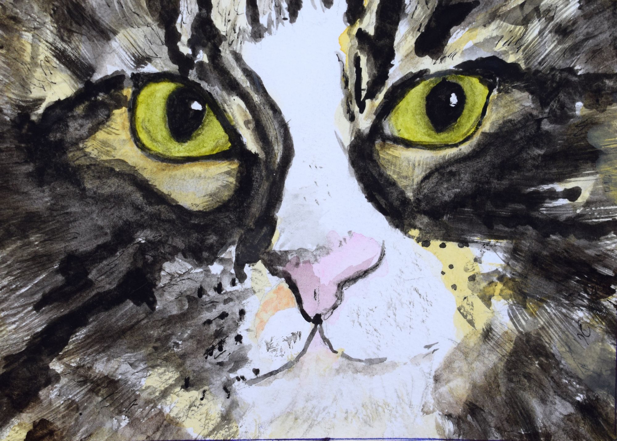 Watercolor painting of a long-haired cat.