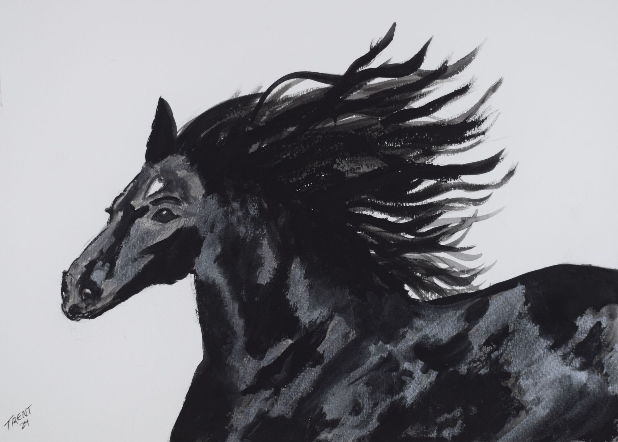 Watercolor painting of a black Horse