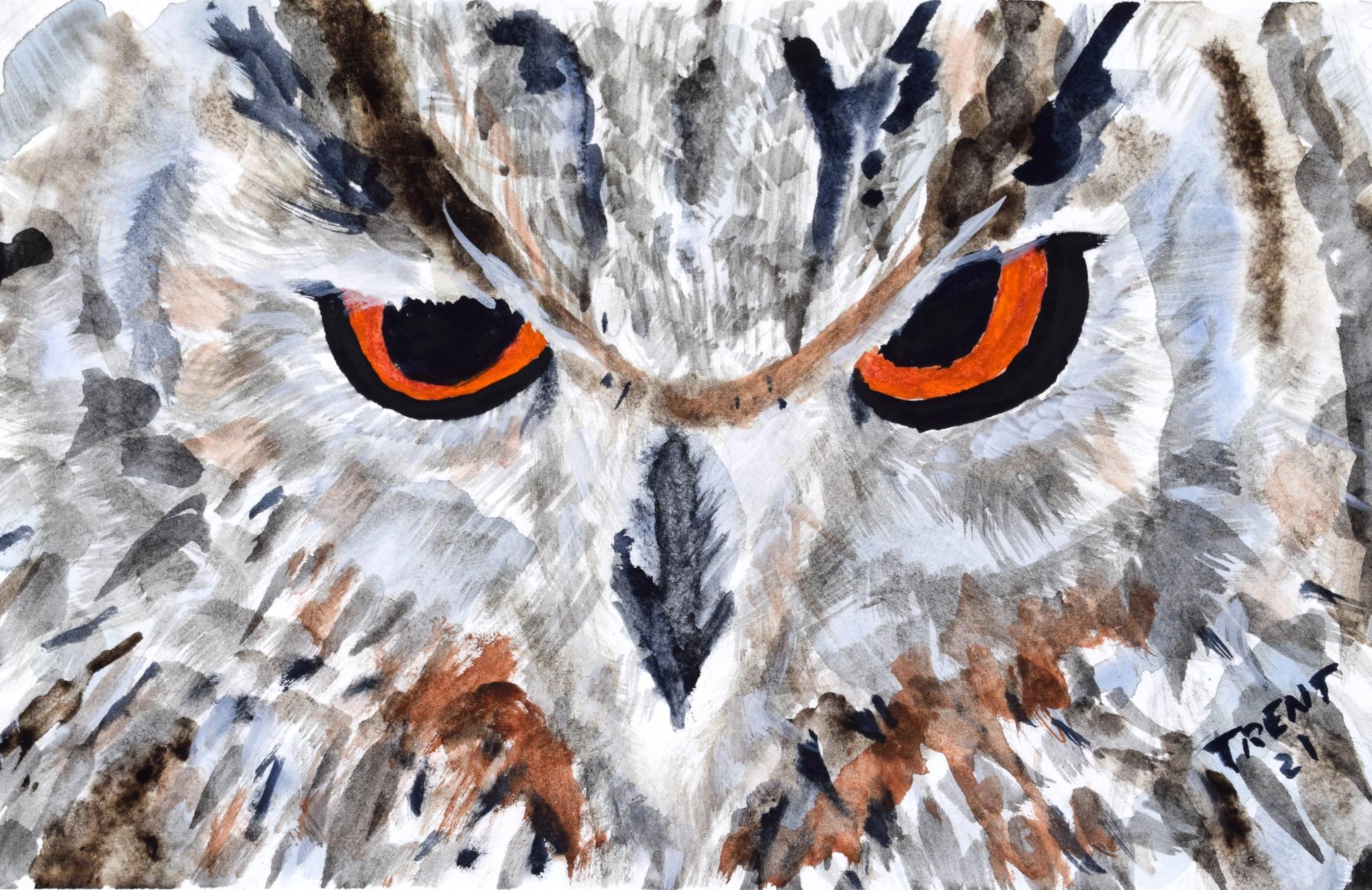 Watercolor painting of an Owl.