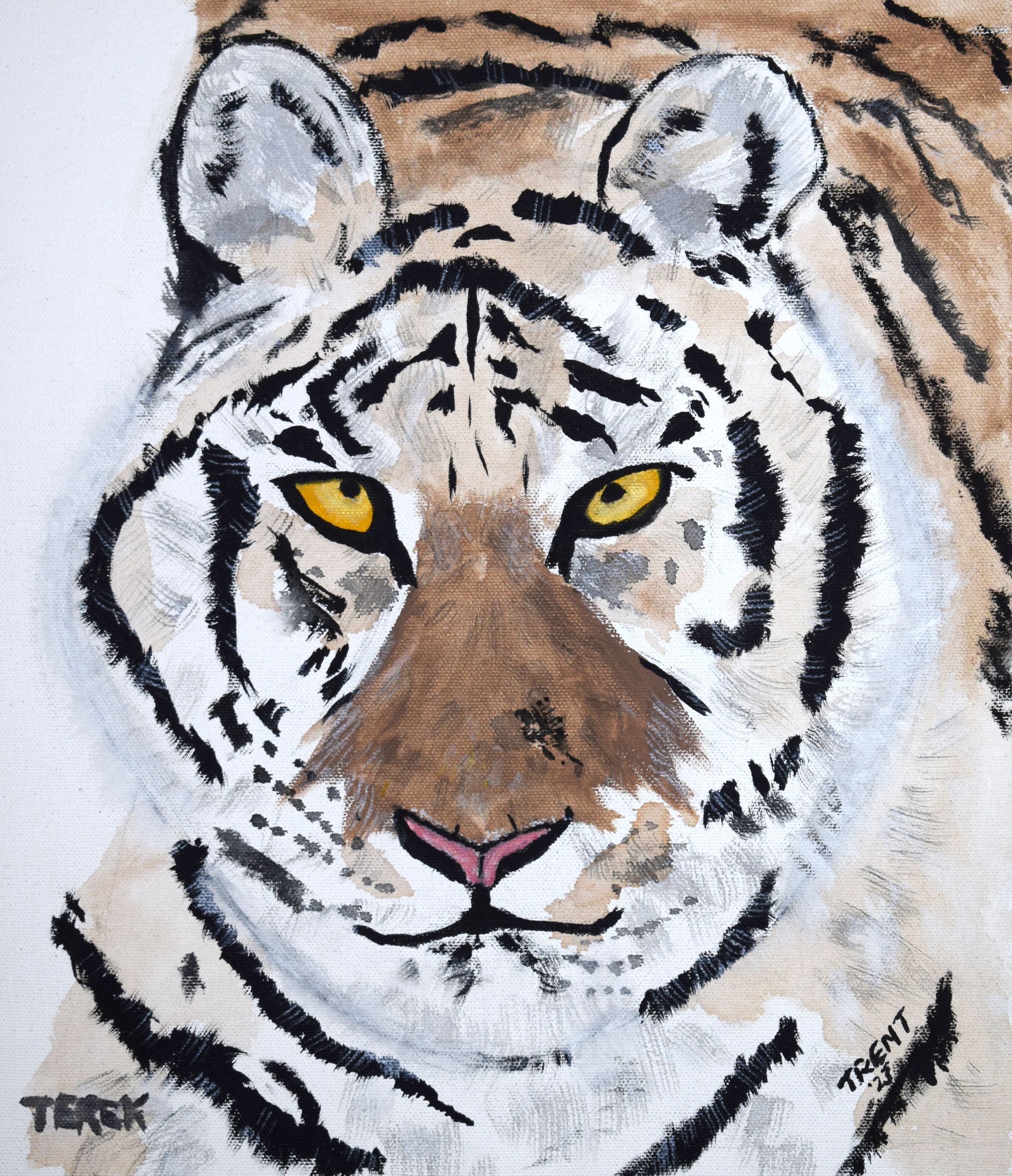 Acrylic painting of Terek the tiger at the Wild Cat Sanctuary.