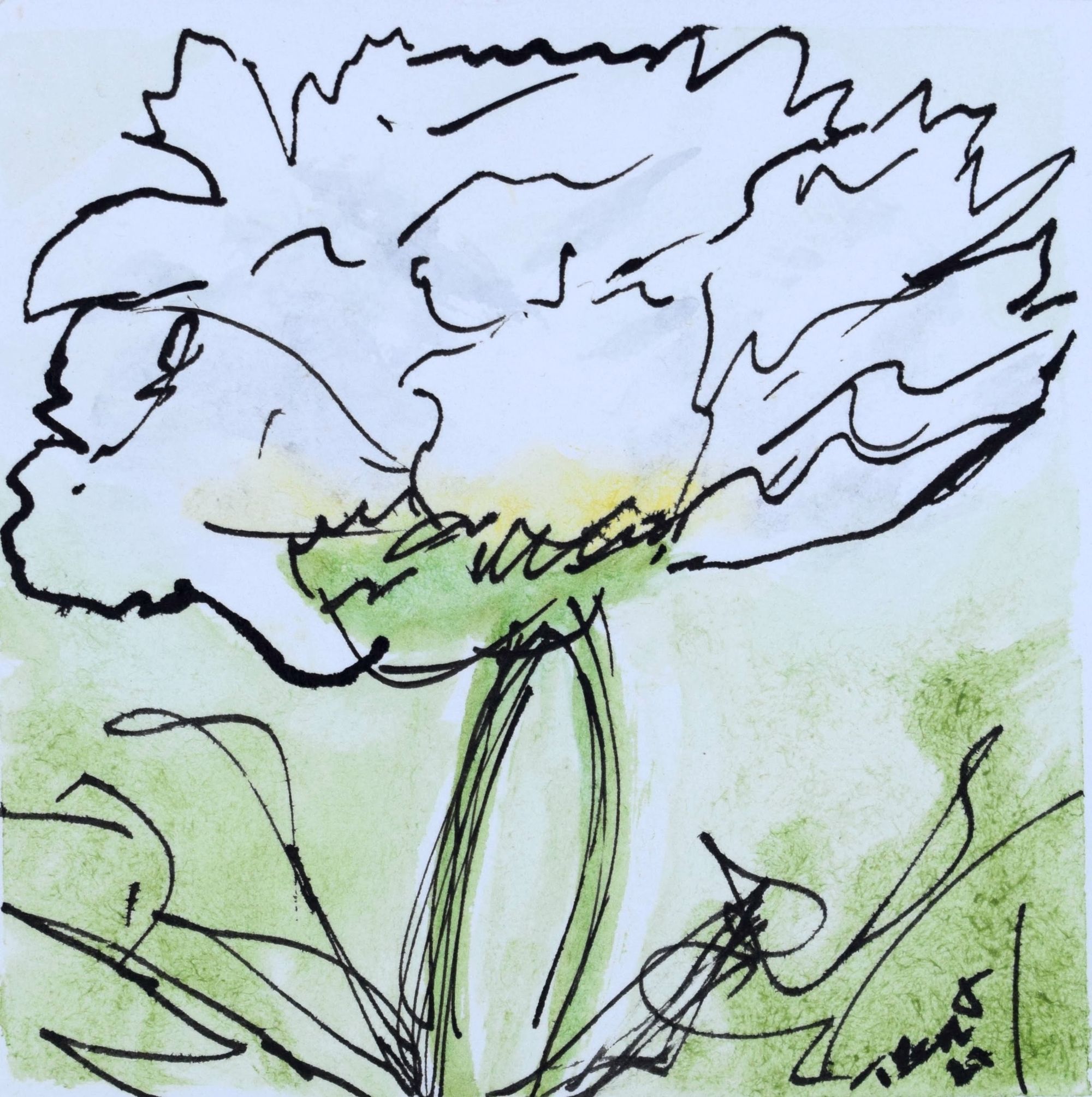 Watercolor painting of a white peony flower in bloom.