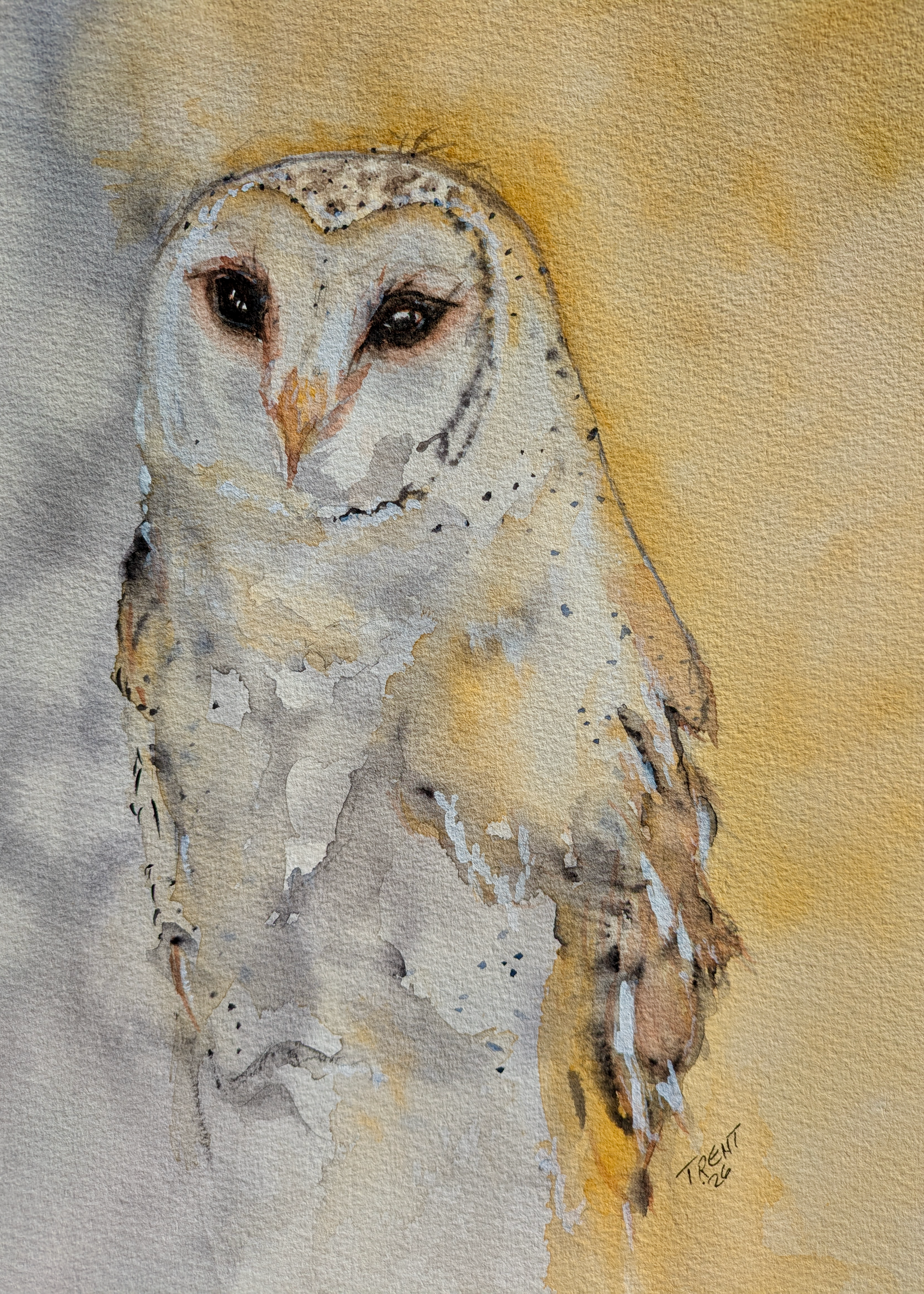Watercolor painting of a barn owl.