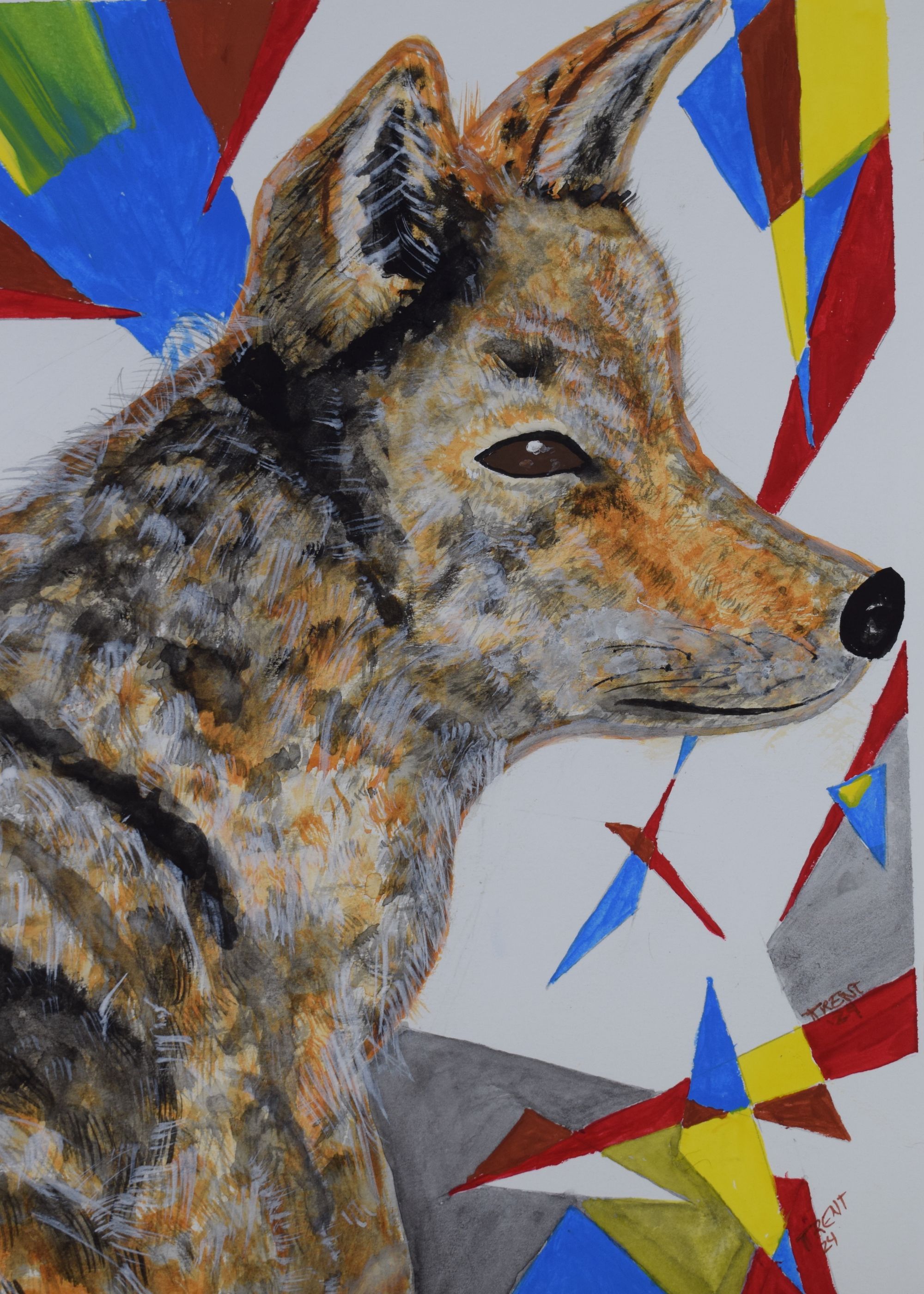 Watercolor painting of a Coyote