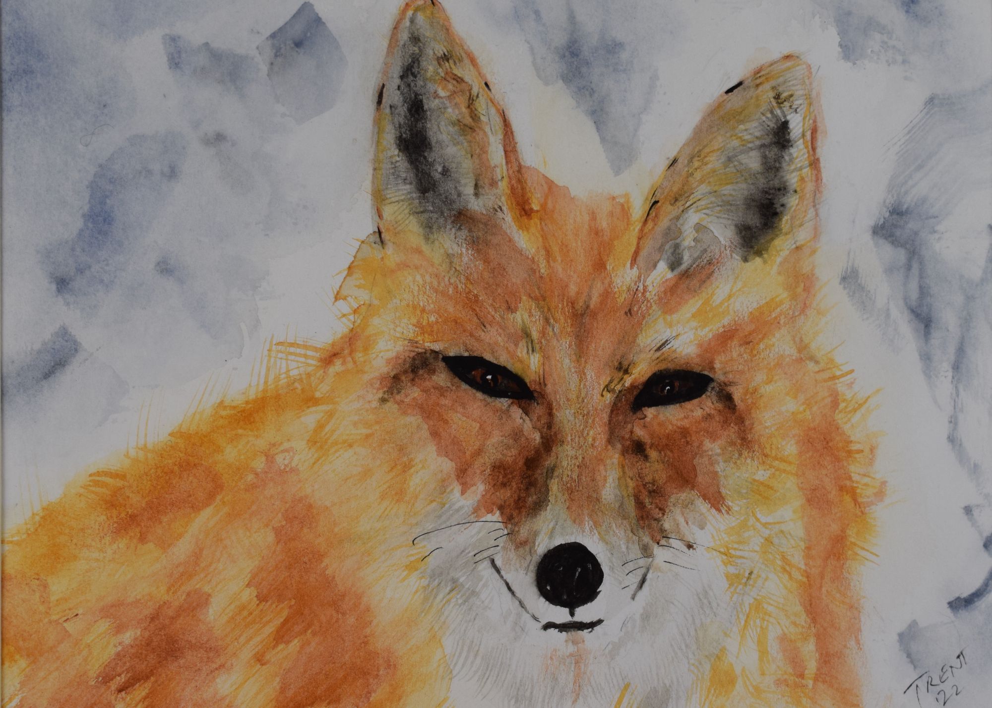 Watercolor painting of a Fox