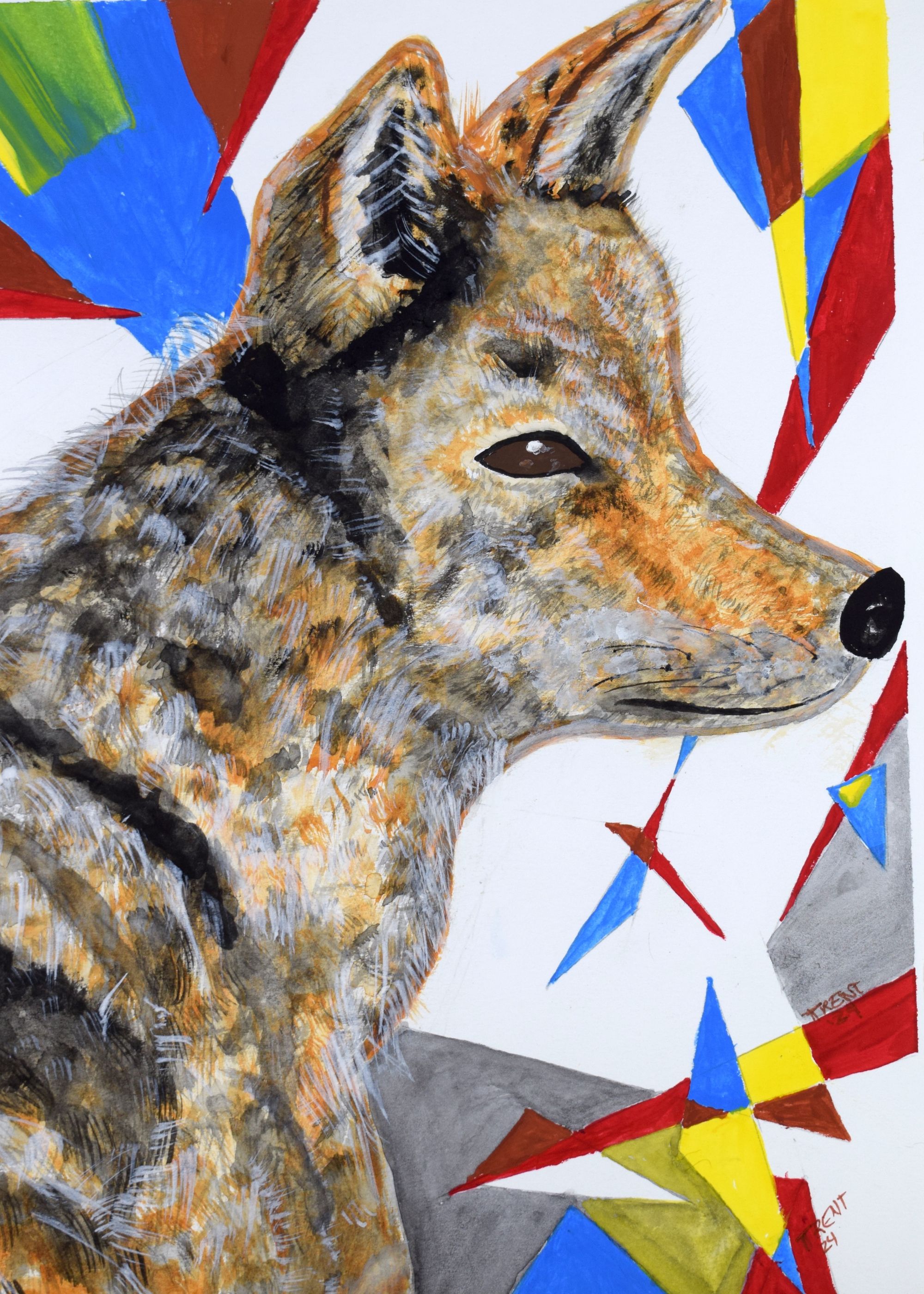Watercolor painting of a Coyote.