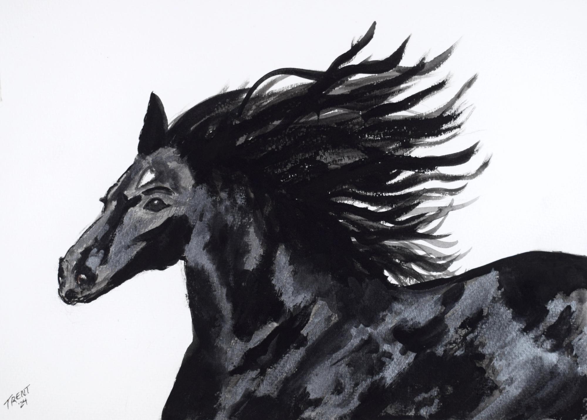 Watercolor painting of a black Horse.