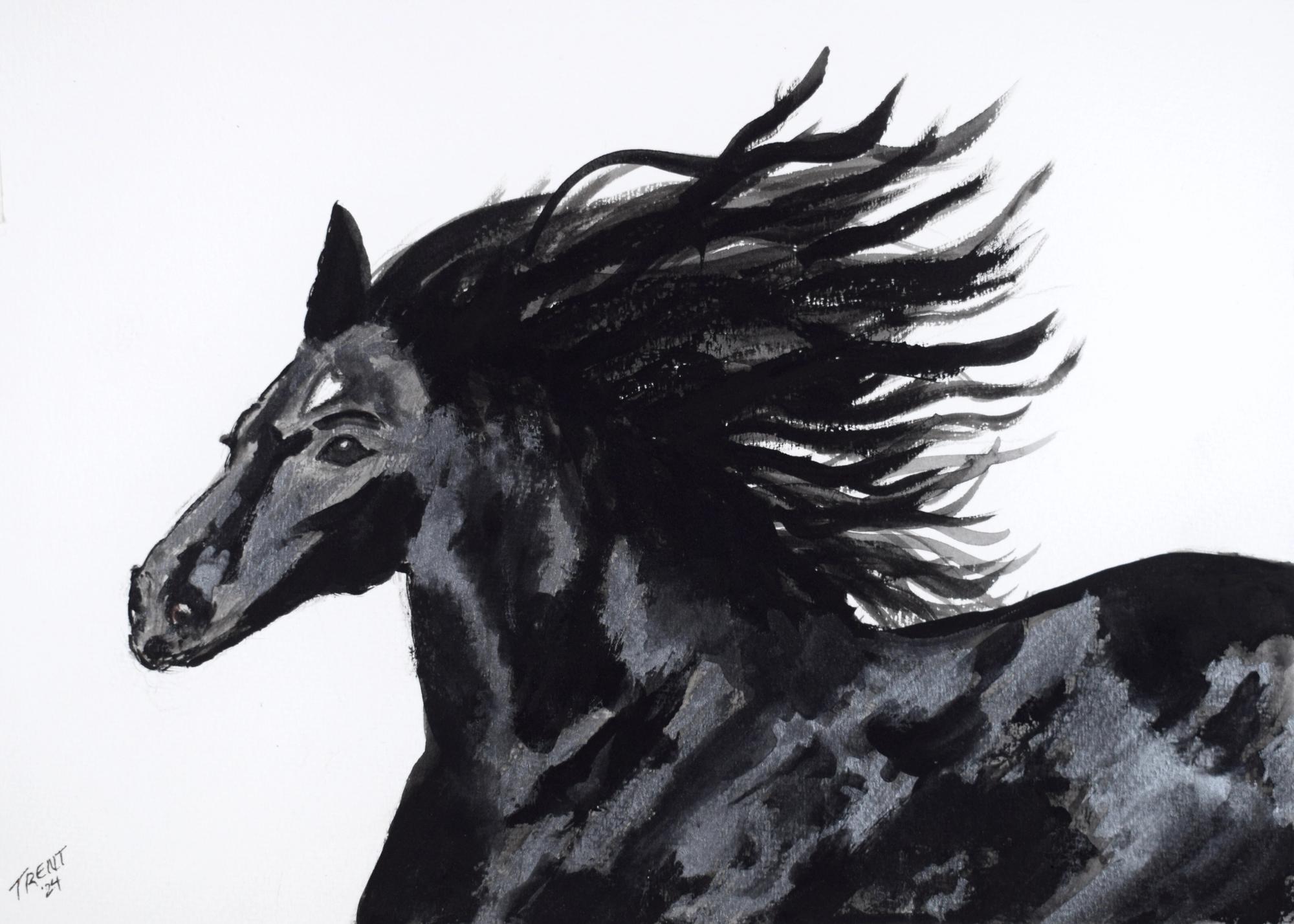 Watercolor painting of a black Horse.