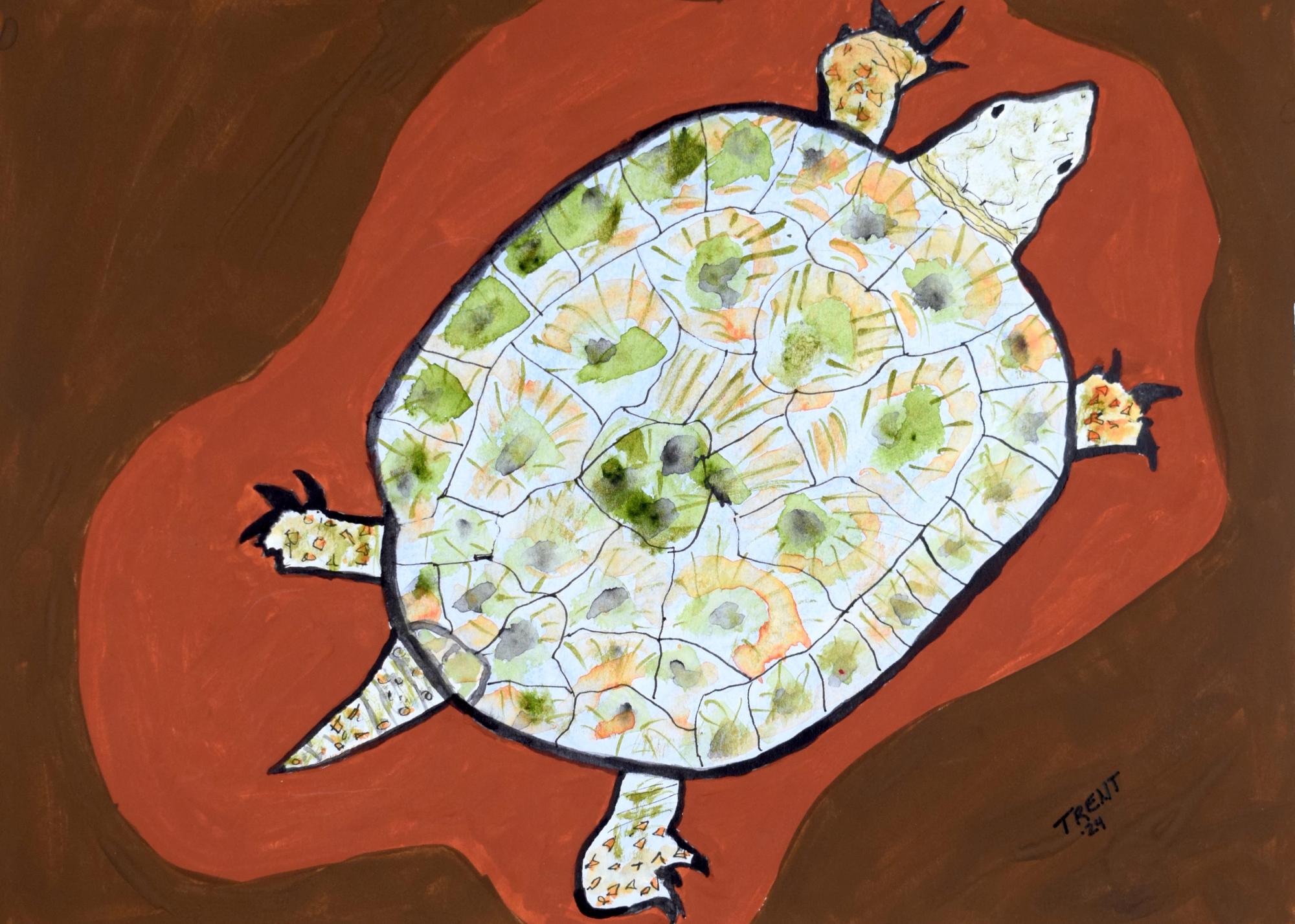 Watercolor painting of a Turtle.