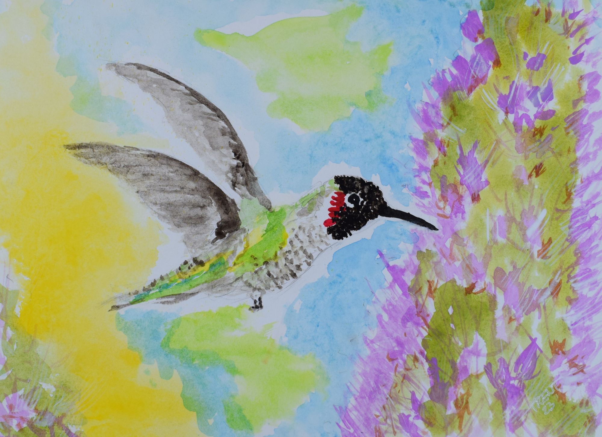 Hummingbird