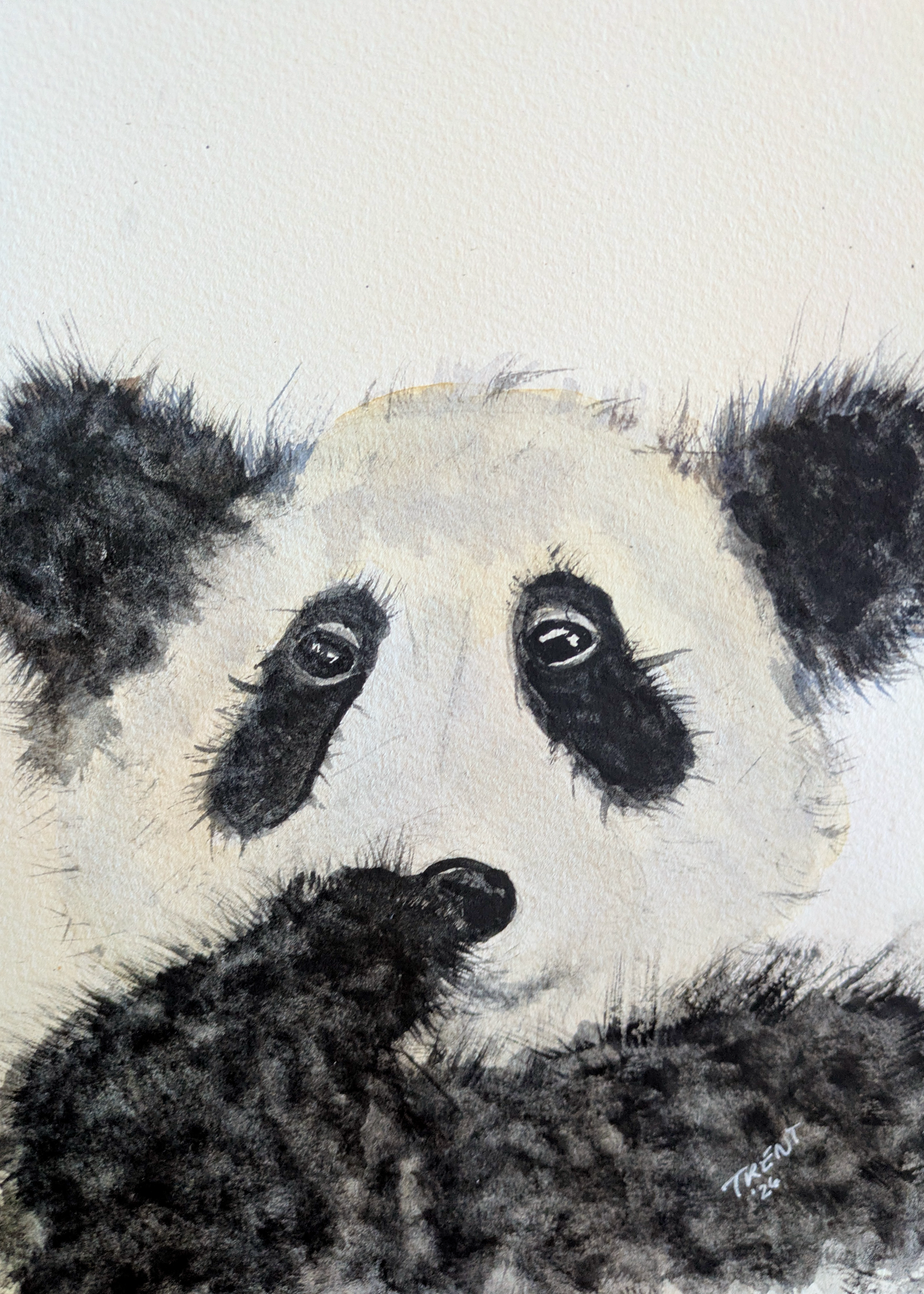 Watercolor painting of a giant panda.