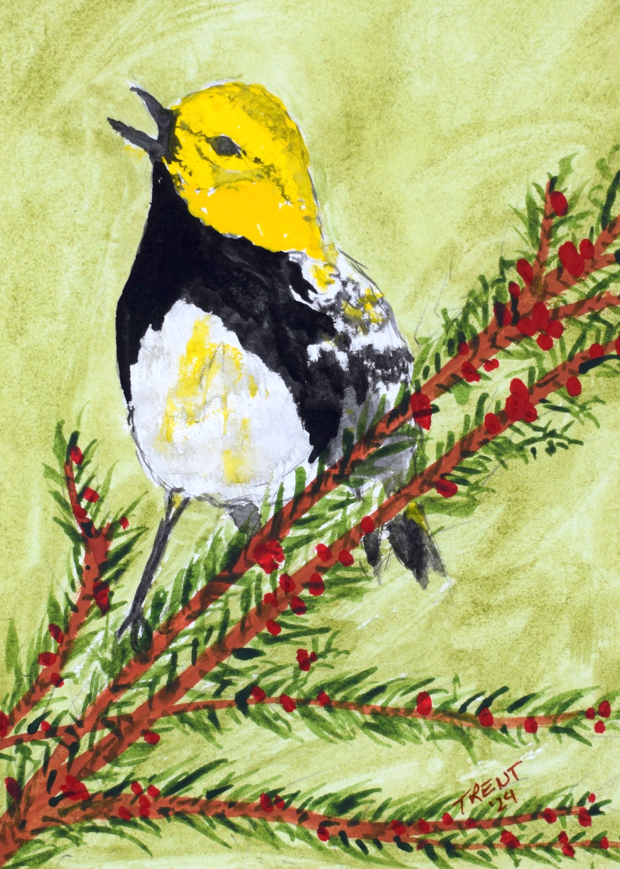 Watercolor painting of a Yellow Bird on greenery.