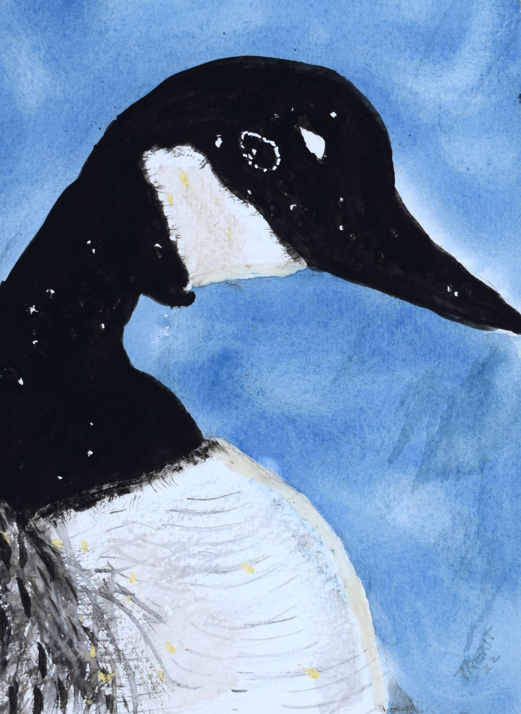Watercolor painting of a Canadian Goose.