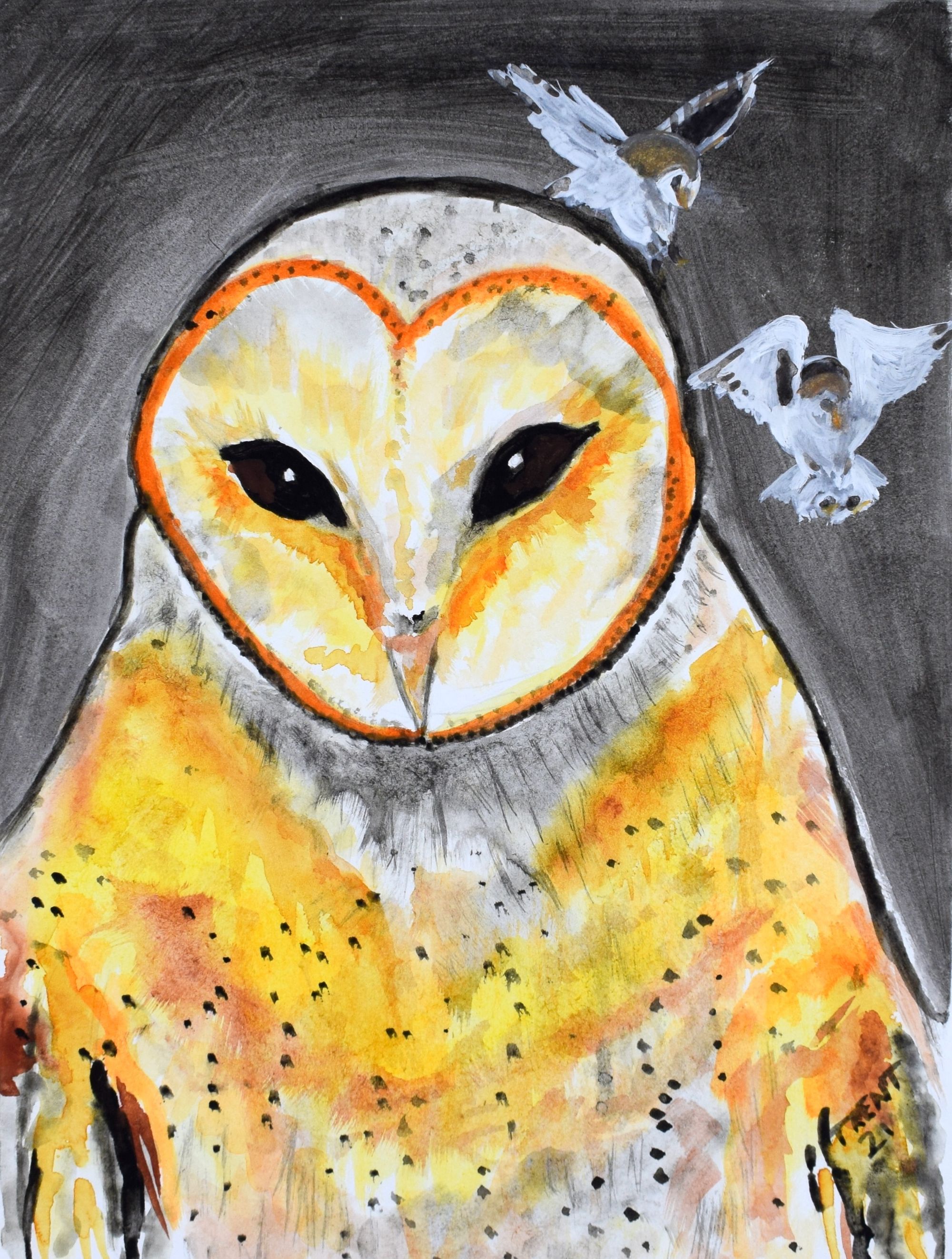 Watercolor painting of a Barn Owl.